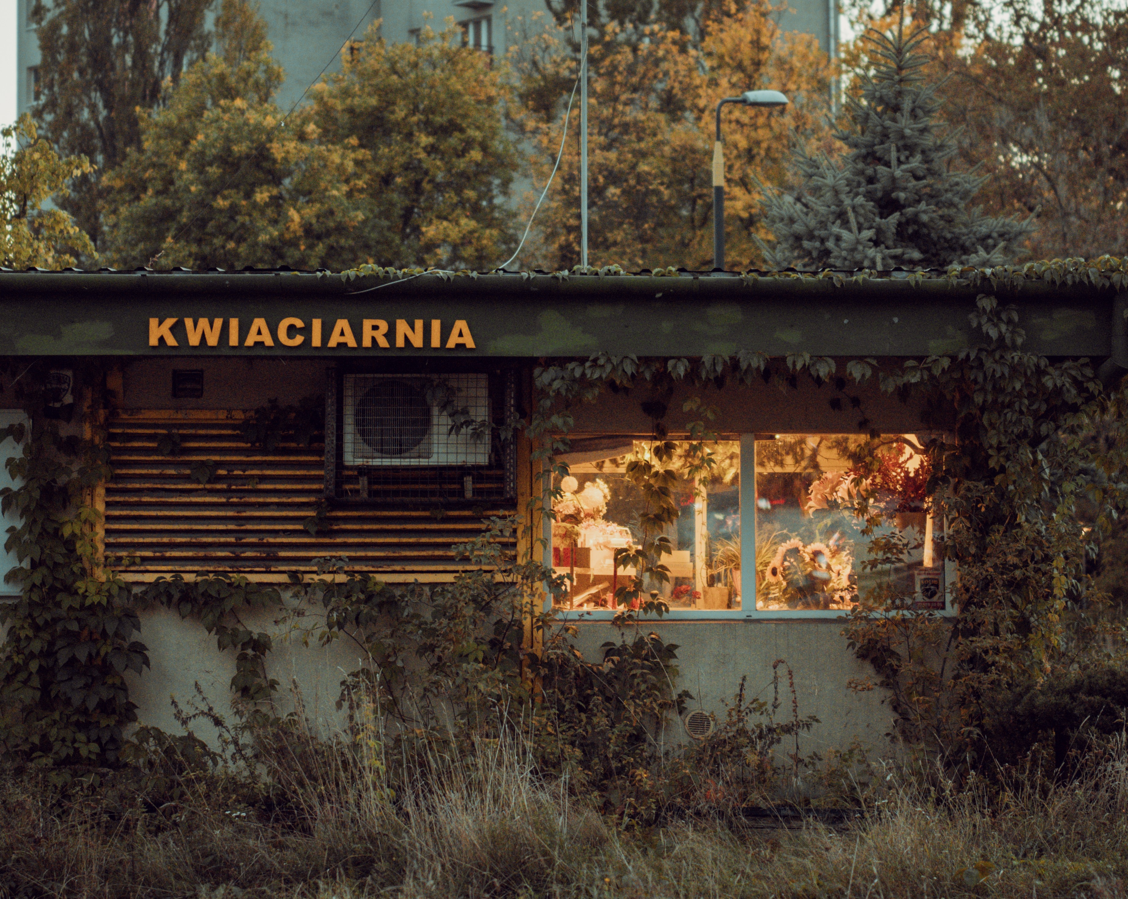 Zdjecia IRL (nie twarze!)-_dsc0505.jpg