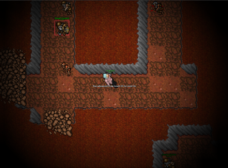 Screeny z Tibiantisa :-)-obraz.png
