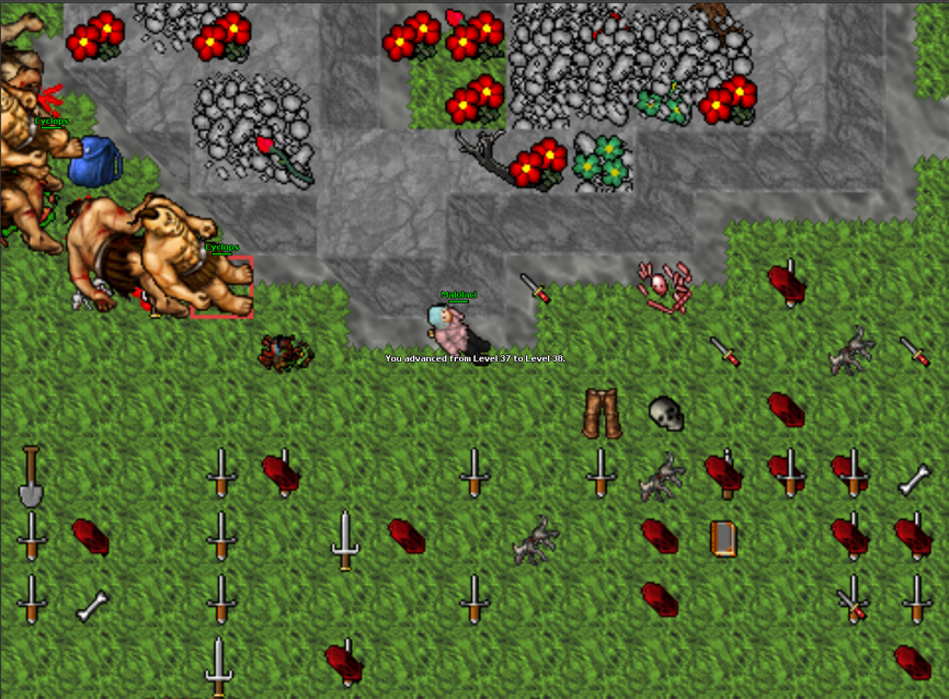 Screeny z Tibiantisa :-)-obraz.png