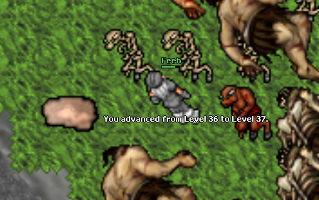 Screeny z Tibiantisa :-)-gogo-40.png