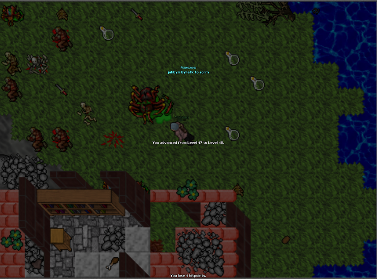 Screeny z Tibiantisa :-)-obraz.png