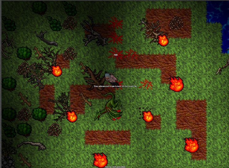 Screeny z Tibiantisa :-)-obraz.png