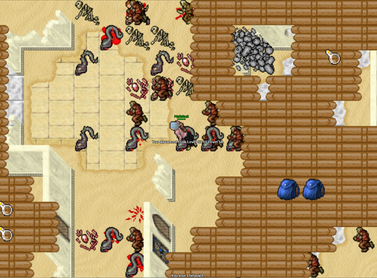 Screeny z Tibiantisa :-)-obraz.png