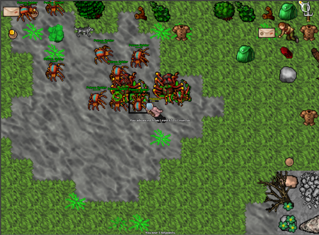 Screeny z Tibiantisa :-)-obraz.png