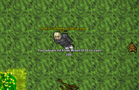 Screeny z Tibiantisa :-)-08a8ebb01080841c24e9bf4c932b251d.png