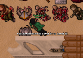 Screeny z Tibiantisa :-)-obraz.png