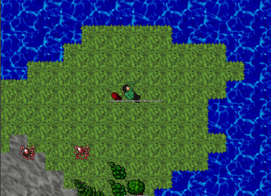 Screeny z Tibiantisa :-)-obraz.png
