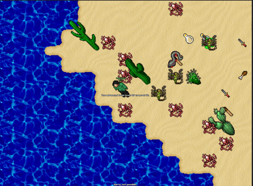 Screeny z Tibiantisa :-)-obraz.png