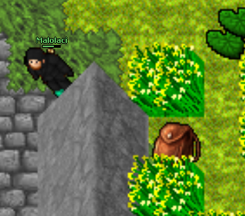 Screeny z Tibiantisa :-)-obraz.png