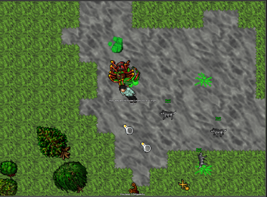 Screeny z Tibiantisa :-)-obraz.png