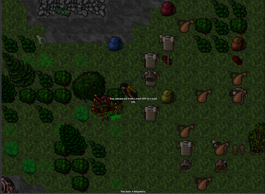 Screeny z Tibiantisa :-)-obraz.png