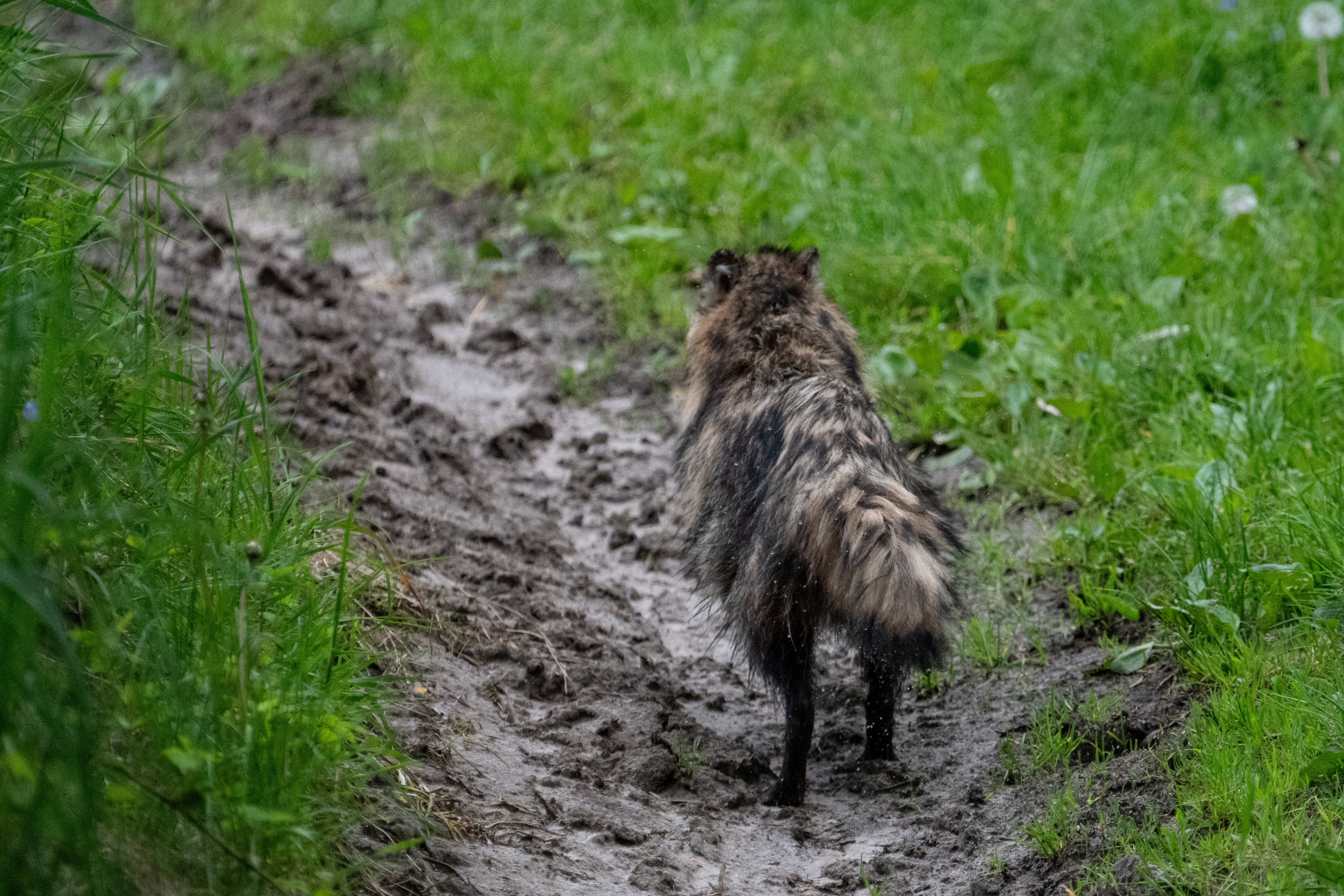 Zdjecia IRL (nie twarze!)-_dsc9031-2.jpg