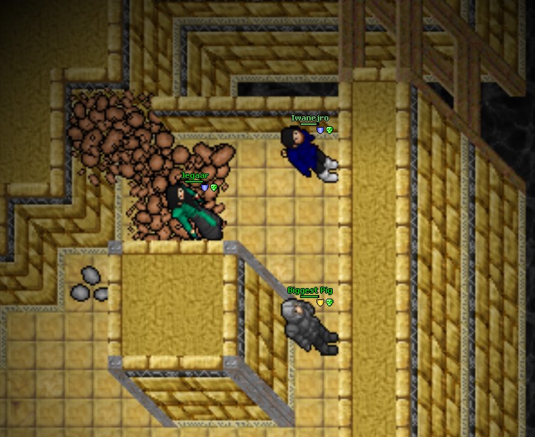 Screeny z Tibiantisa :-)-ank-inside.jpg