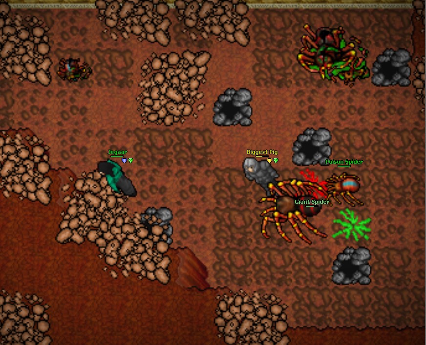 Screeny z Tibiantisa :-)-ank-inside-3.jpg