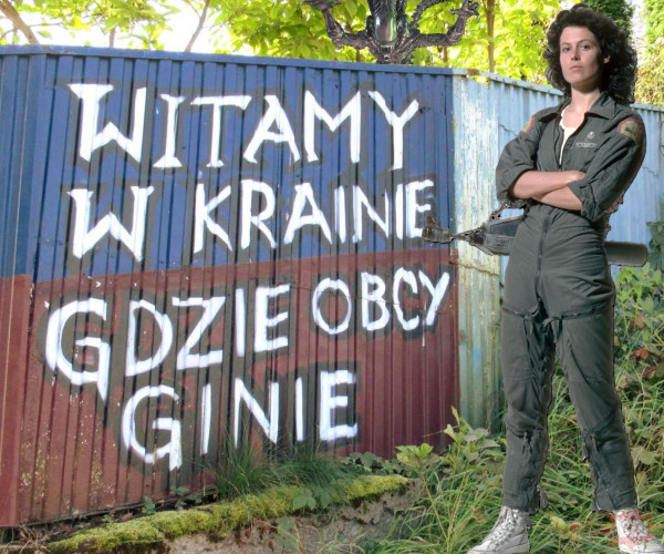 Wiadomości z kraju i ze świata-image.png