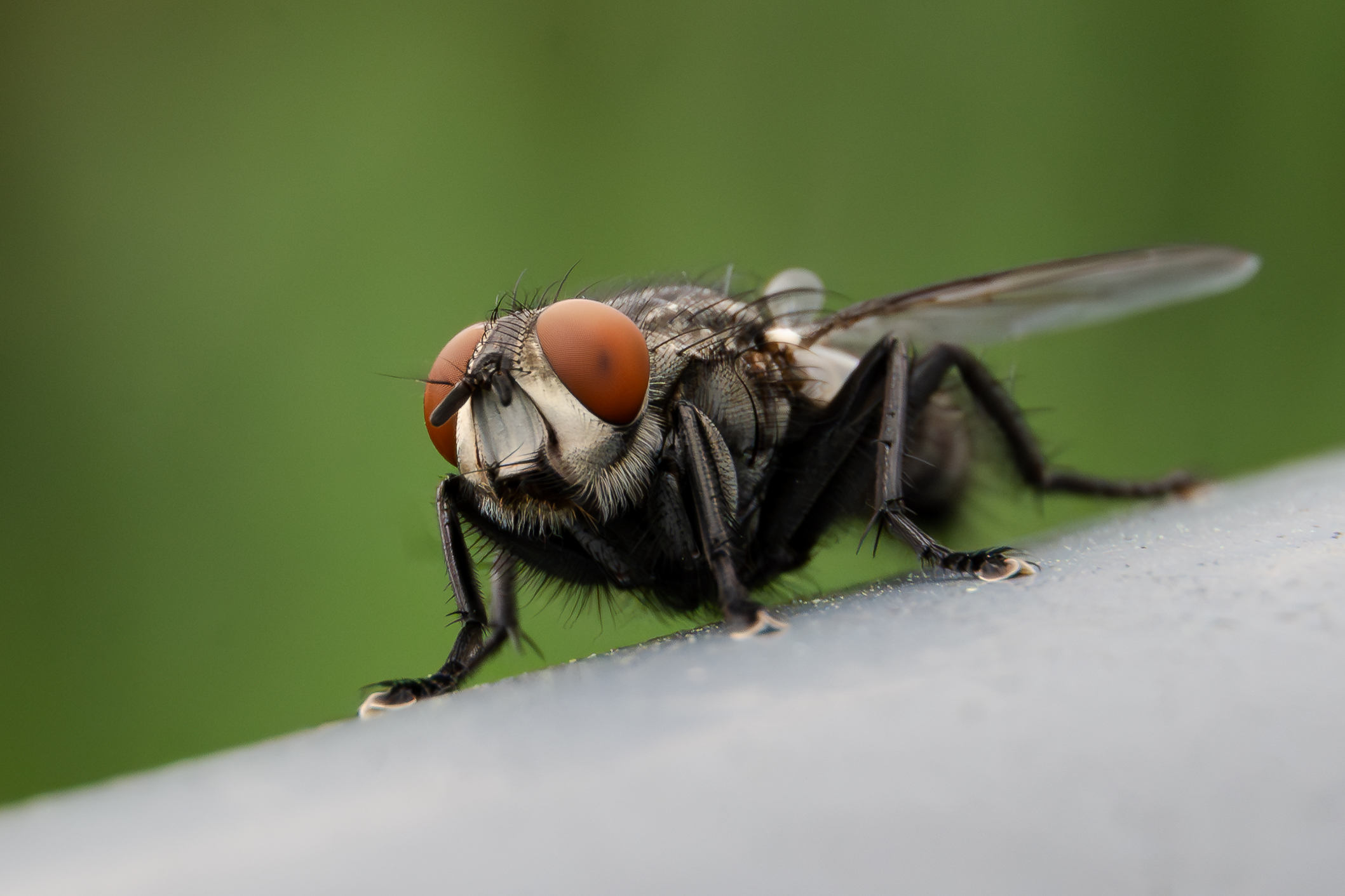 Zdjecia IRL (nie twarze!)-zfc_0714-enhanced-nr.jpg