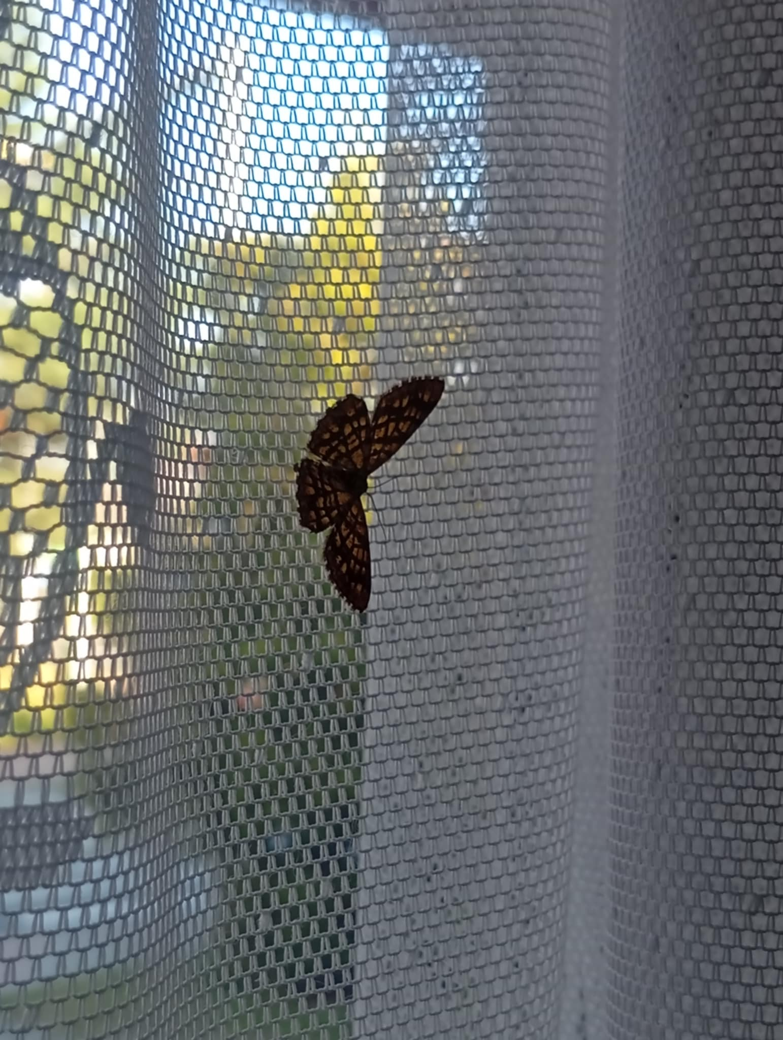 Zdjecia IRL (nie twarze!)-image.png