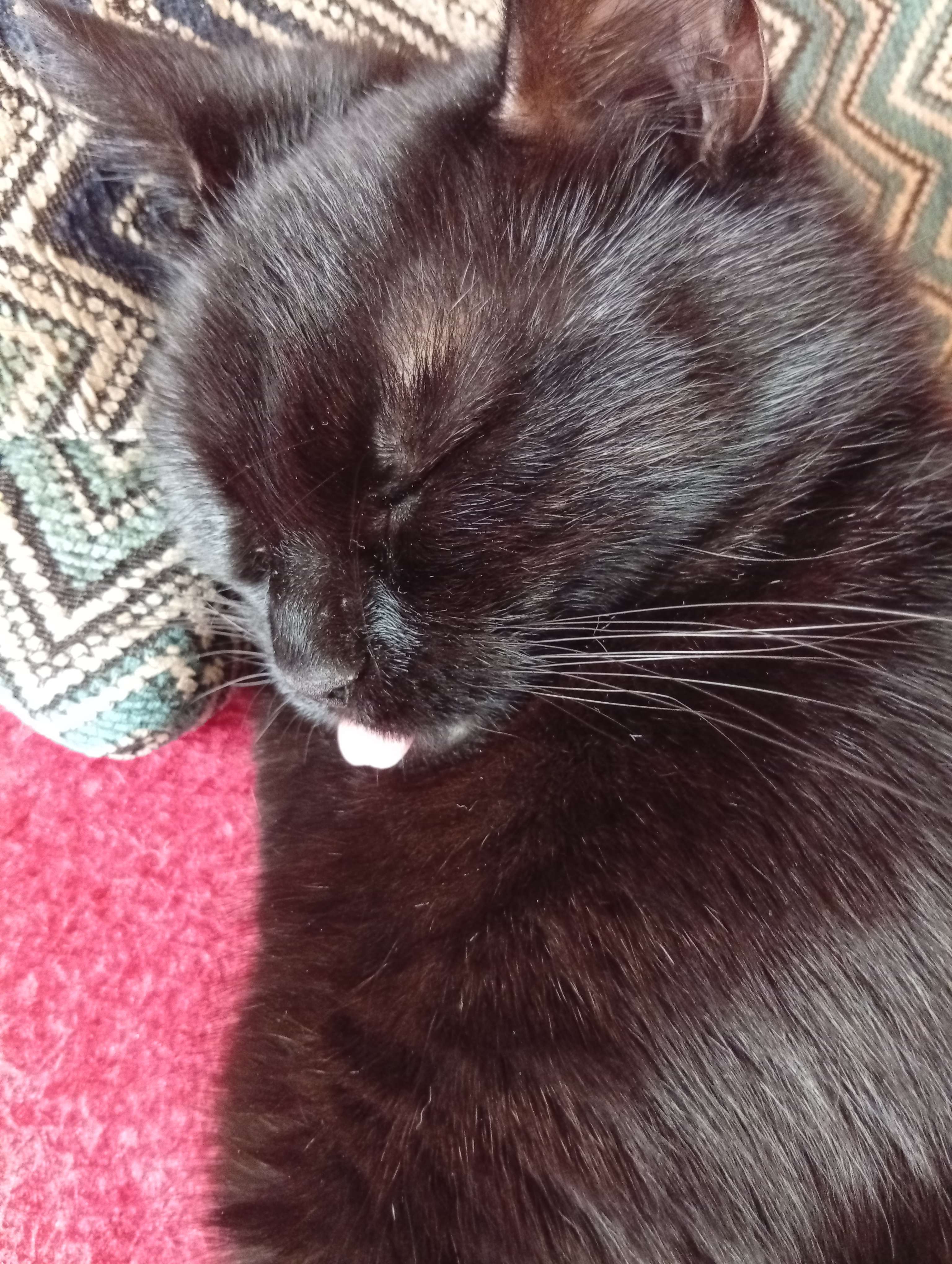 Pokaż talerz - Wizualny foodporn i rozmowy przy jedzeniu !-1756566142694.jpg