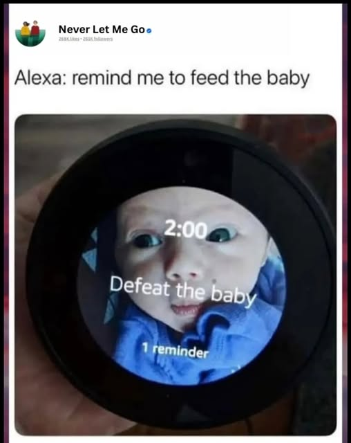 daily meme-image.png