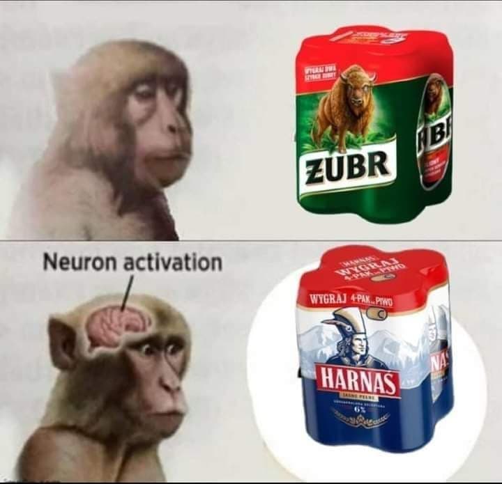 daily meme-191184047_852039372056496_3748983775013449364_n_140495038114728.jpg