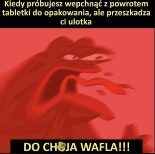 daily meme-image.png