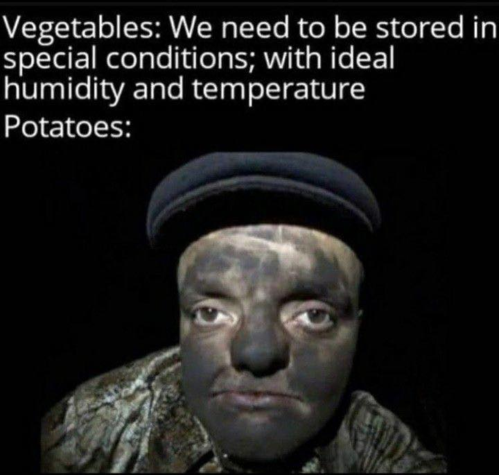 daily meme-image.png