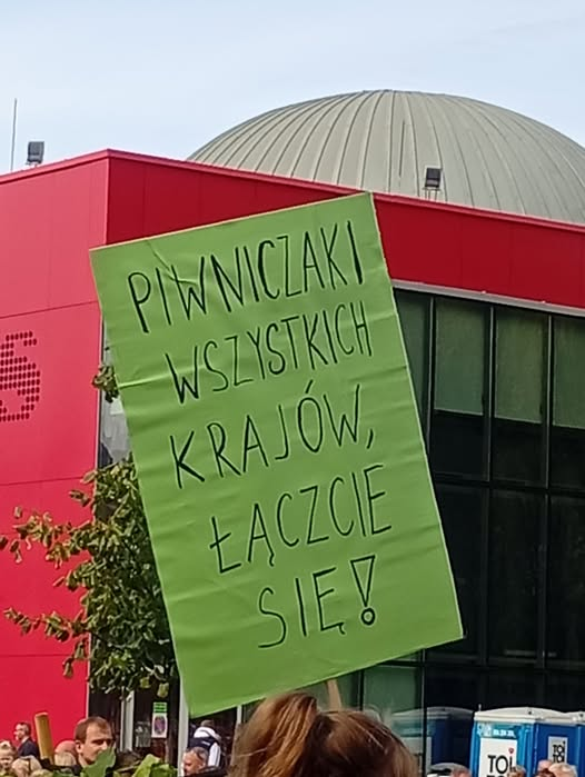 Wiadomości z kraju i ze świata-image.png