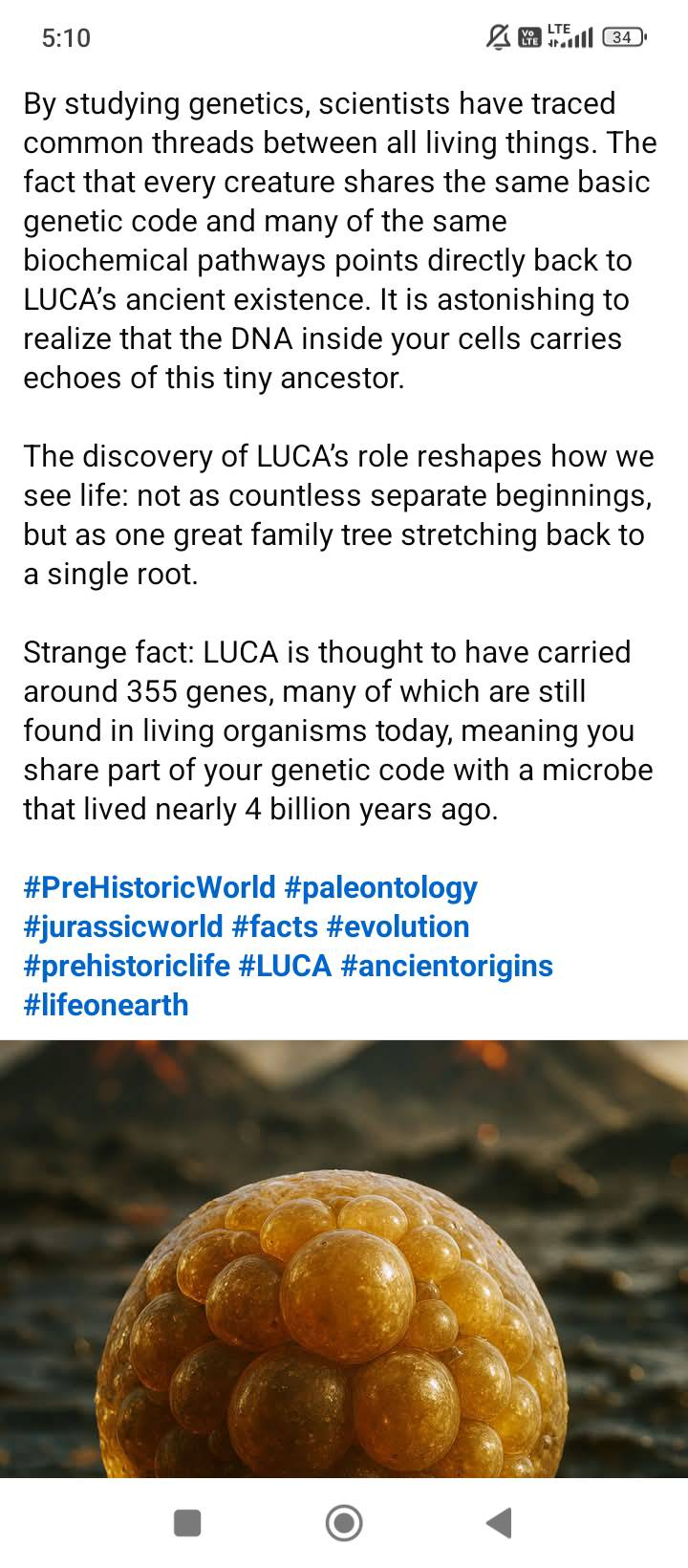 tostujemy ciekawostki i rzeczy dla nas interesujonce-image.png