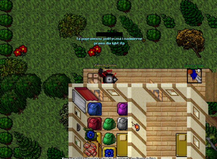 Screeny z Tibiantisa :-)-rudzi.png