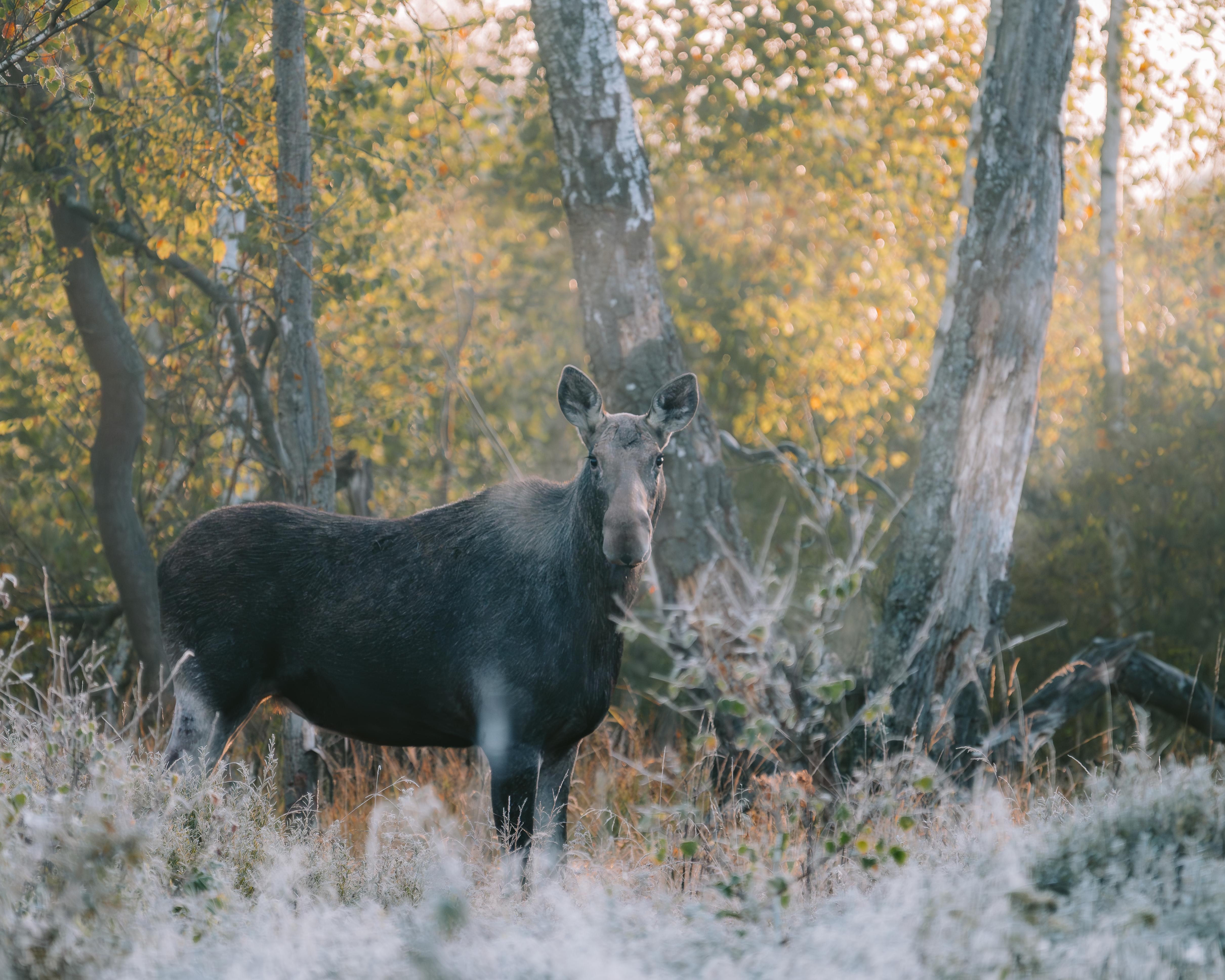 Zdjecia IRL (nie twarze!)-nz6_5424-enhanced-nr.jpg