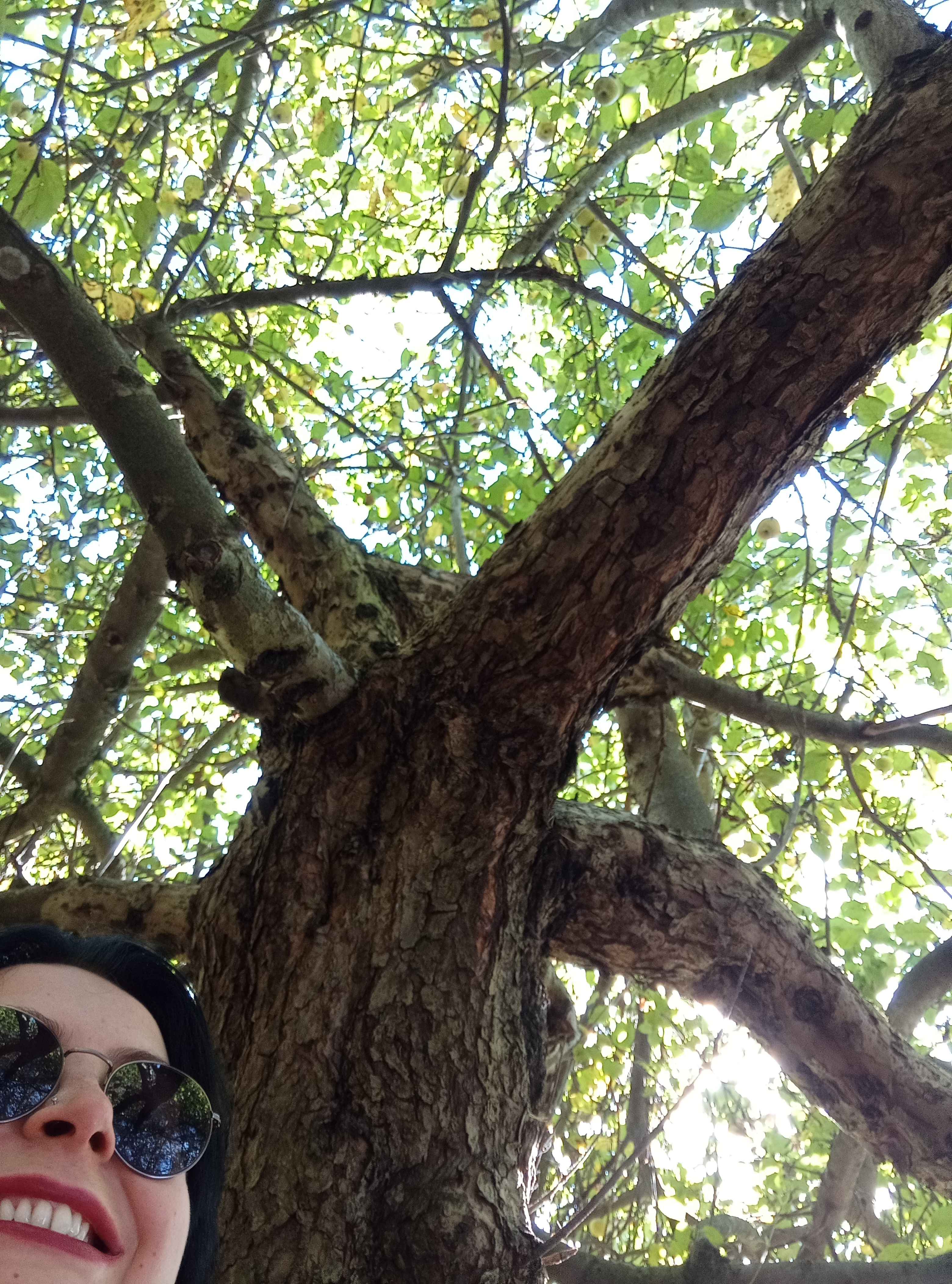 Zdjecia Uzytkownikow vol 2-img_20250928_102426.jpg