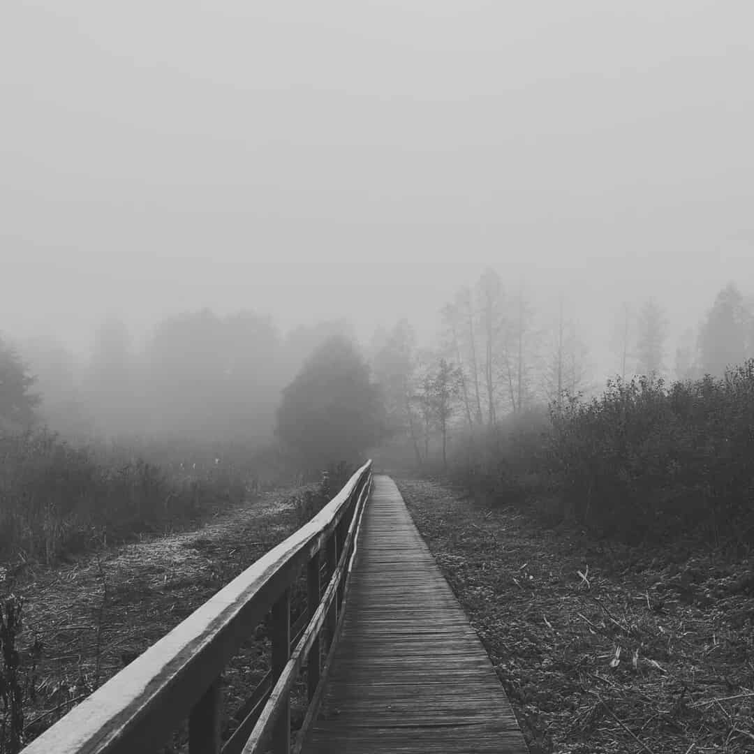 Zdjecia IRL (nie twarze!)-566225647_1481483762968633_3006654701165372917_n.jpg