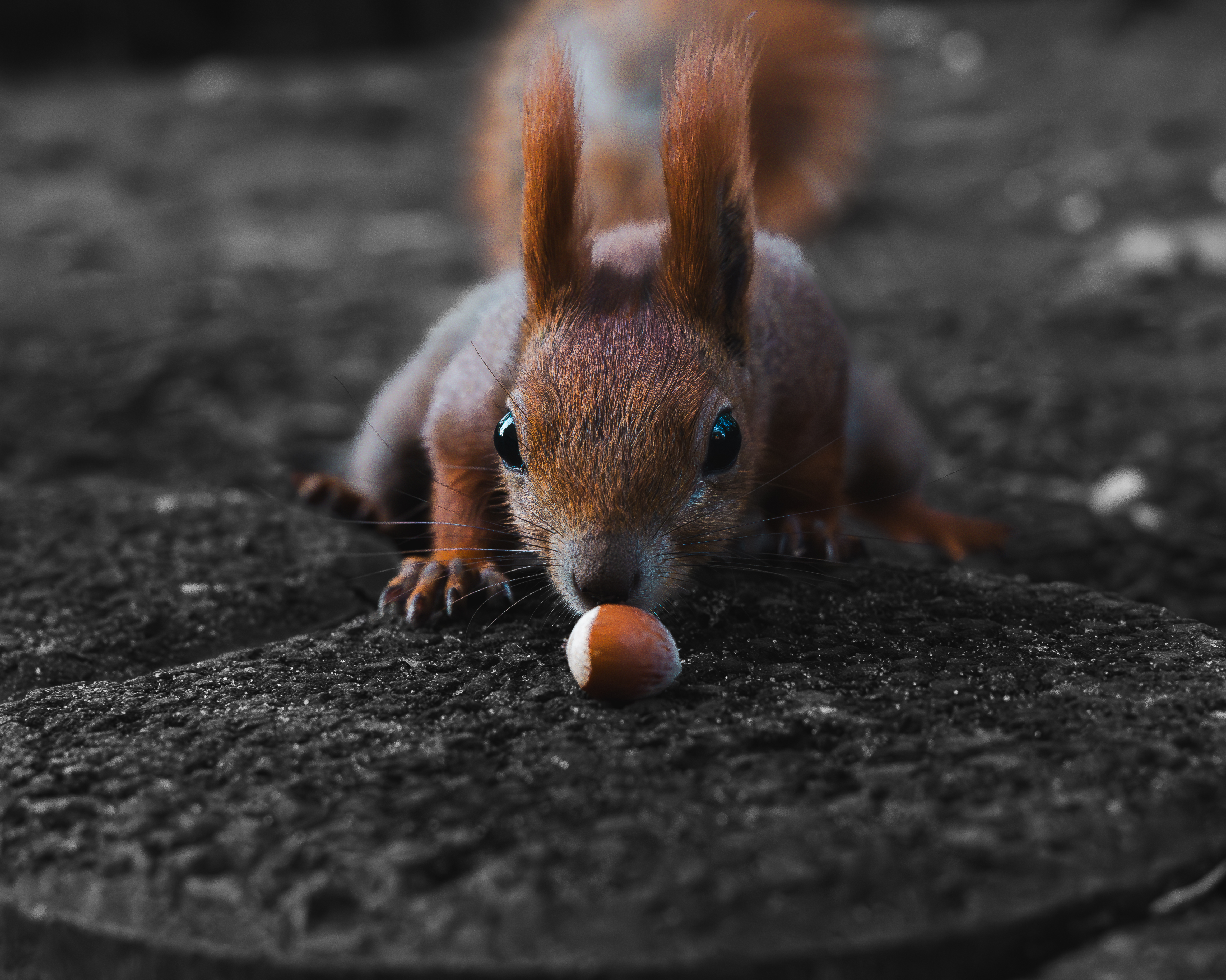 Zdjecia IRL (nie twarze!)-zfc_2969-enhanced-nr.jpg