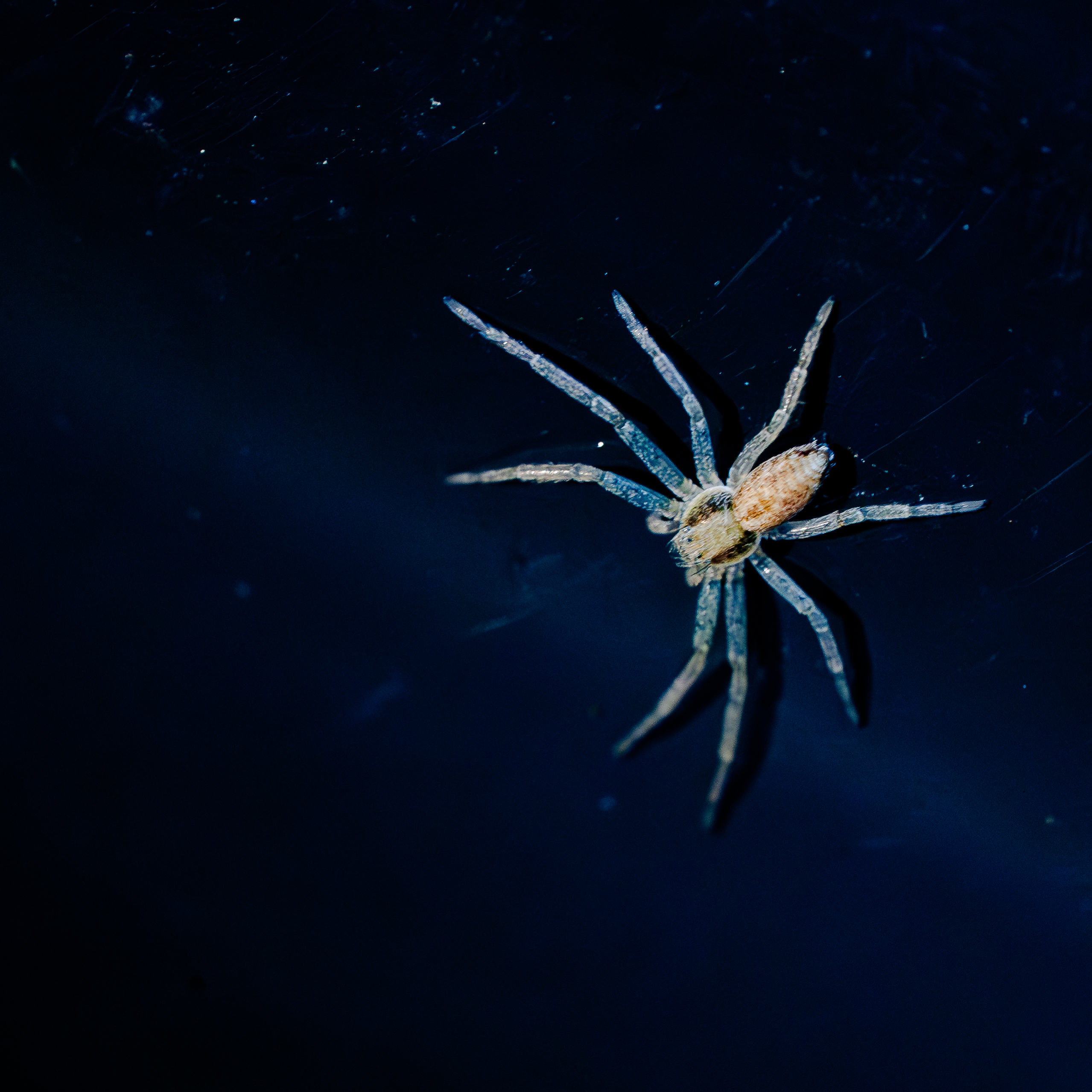 Zdjecia IRL (nie twarze!)-1__dsc4185-enhanced-nr.jpg