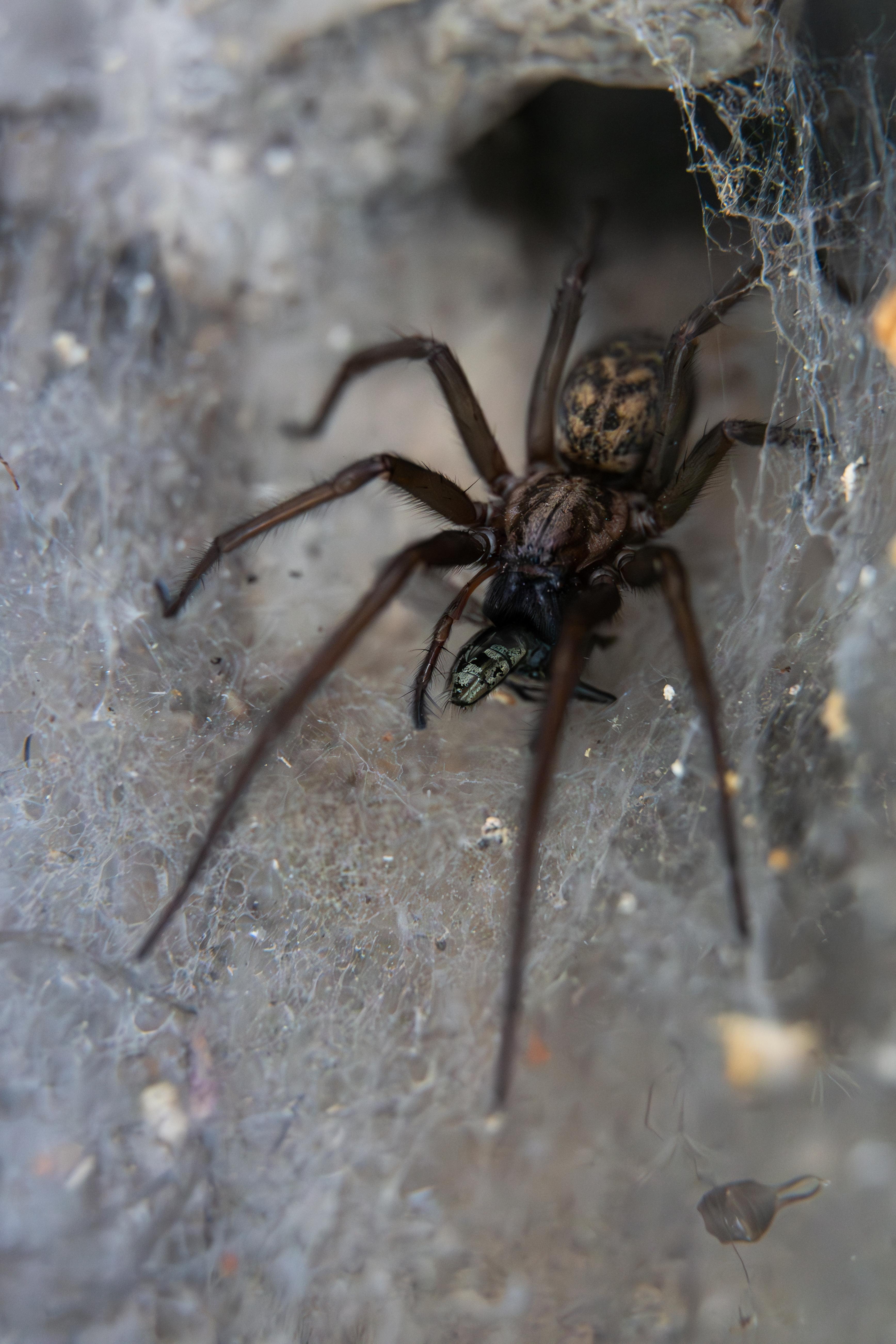 Zdjecia IRL (nie twarze!)-nz6_2845-enhanced-nr.jpg