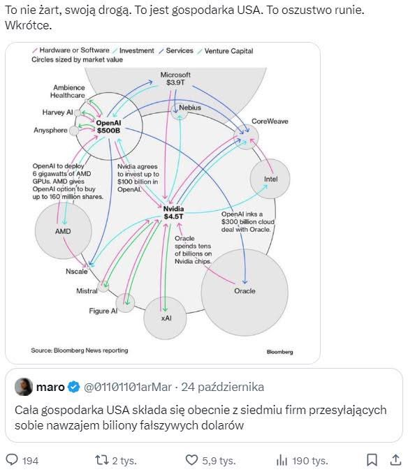 W co inwestują Torgi?-image.png