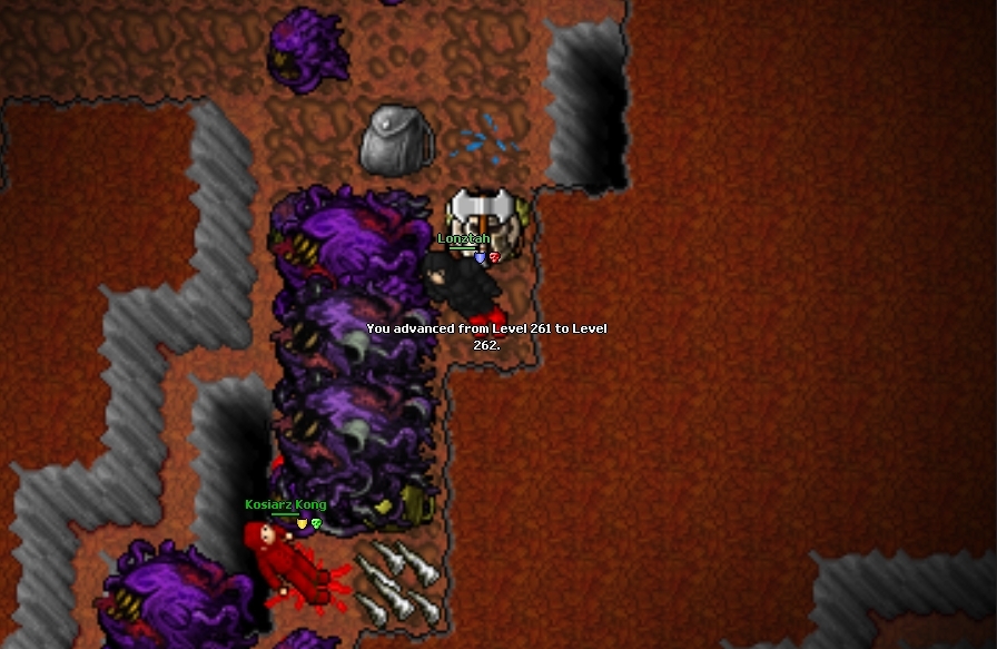 Screeny z Tibiantisa :-)-63ccaef071d4887aea6f3fcdc19d9726.jpg