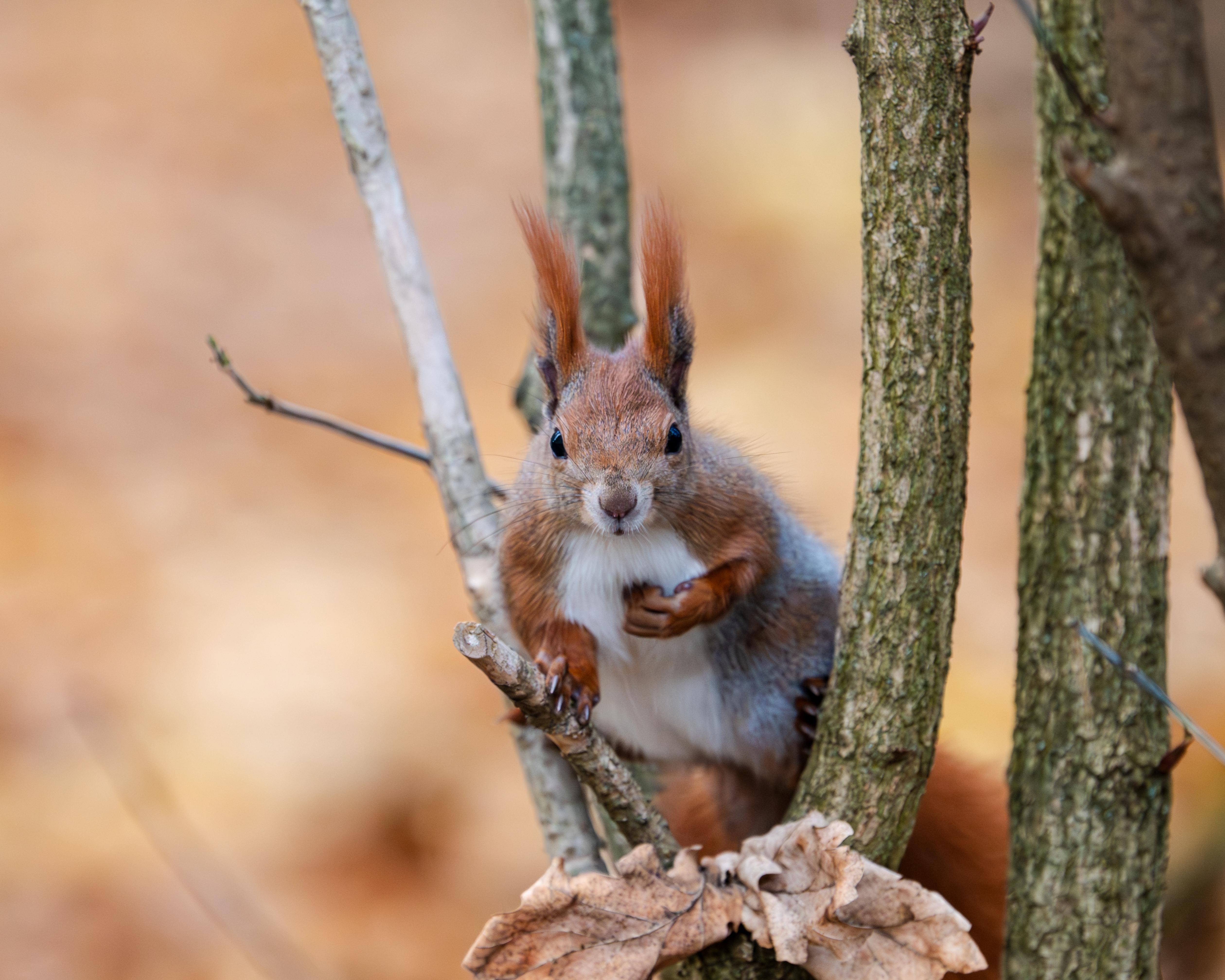 Zdjecia IRL (nie twarze!)-nz6_6995.jpg