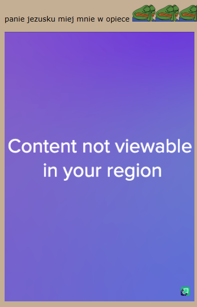 W co inwestują Torgi?-image.png