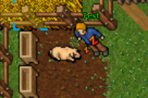 Produkcja IGIEŁKI, hardkorowego serwera inspirowanego metinem-image.png