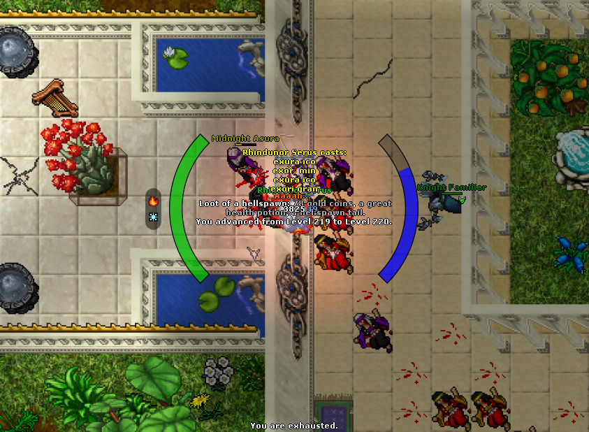 Powrót po latach do zabawy- Vunira-2025-11-17_142424211_rhindunor-serus_levelup.png