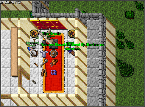 Screeny z Tibiantisa :-)-4bis.png