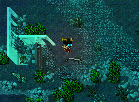 [15.11] SymikOT - Unikalny EVO Serwer-quary.png