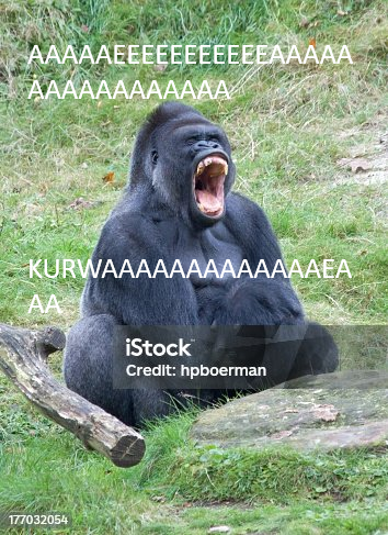 Tu czekamy na ostatnią odzankę Sylwestrowicza-image.png