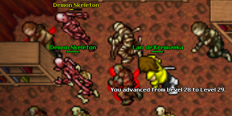 Przygody z Concordii - Nasze Screeny, historie życia tibiantijskiego :-)-lvl29.png