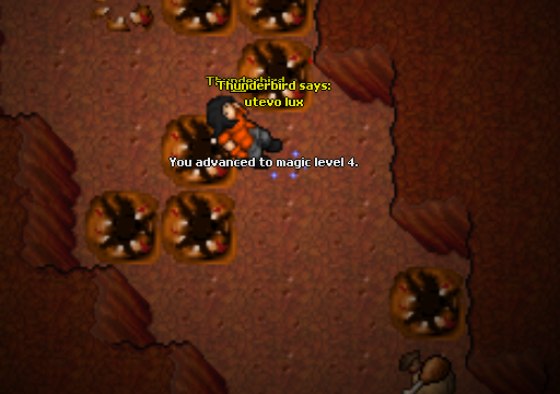 Zaproszenie do gildii Non-Pvp - Związek Zawodowy Druid&oacute;w-image.png