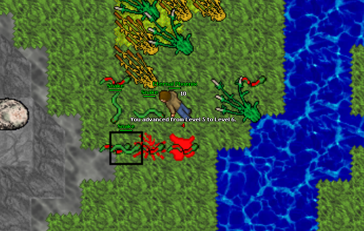 Przygody z Concordii - Nasze Screeny, historie życia tibiantijskiego :-)-6lvl.png