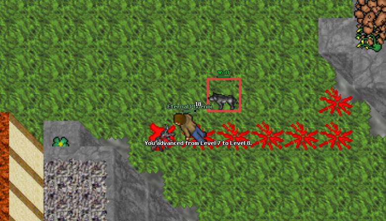 Przygody z Concordii - Nasze Screeny, historie życia tibiantijskiego :-)-8lvl.png