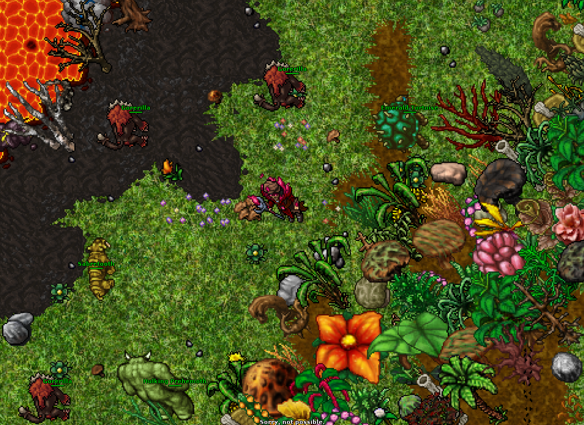 [POLAND] [15.20+] | IglaOTS | Real Map z Custom Mapami | Retro Open PVP | Start 27.03.2026 19:00-5.png