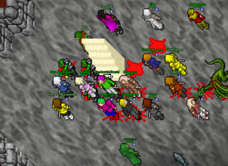 Zaproszenie do gildii Non-Pvp - Związek Zawodowy Druid&oacute;w-image.png